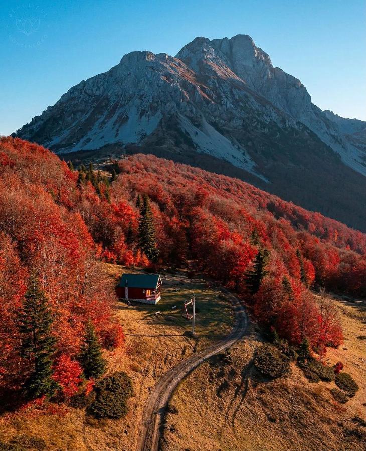 Mountain House Komovi-Radunovic Andrijevica エクステリア 写真