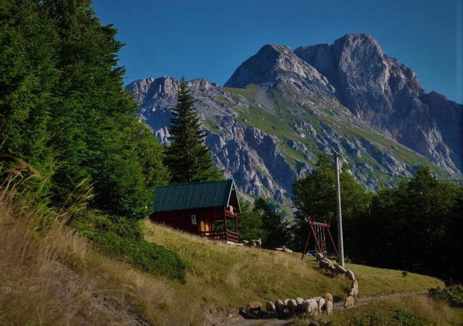Mountain House Komovi-Radunovic Andrijevica エクステリア 写真